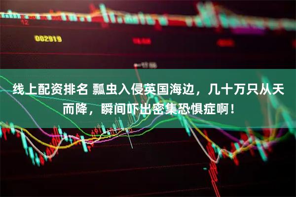 线上配资排名 瓢虫入侵英国海边，几十万只从天而降，瞬间吓出密集恐惧症啊！